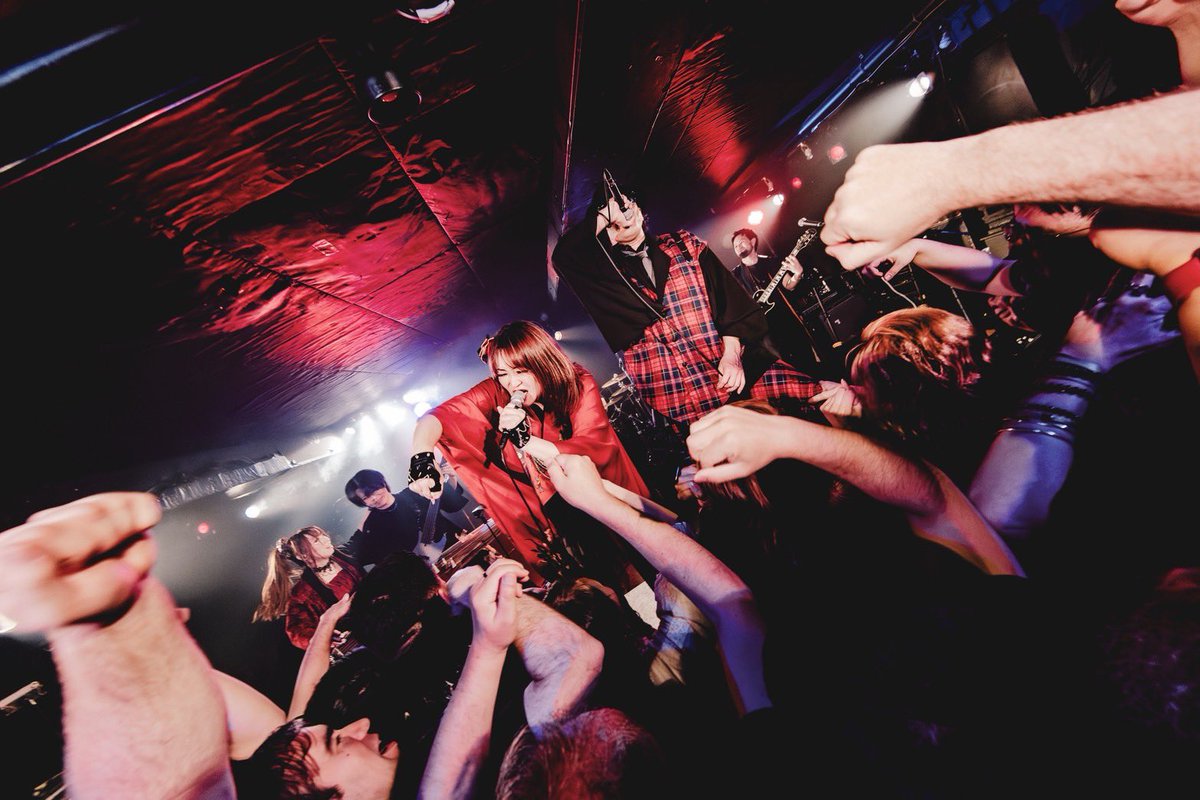 AKARA【Official】🇯🇵 tweet media