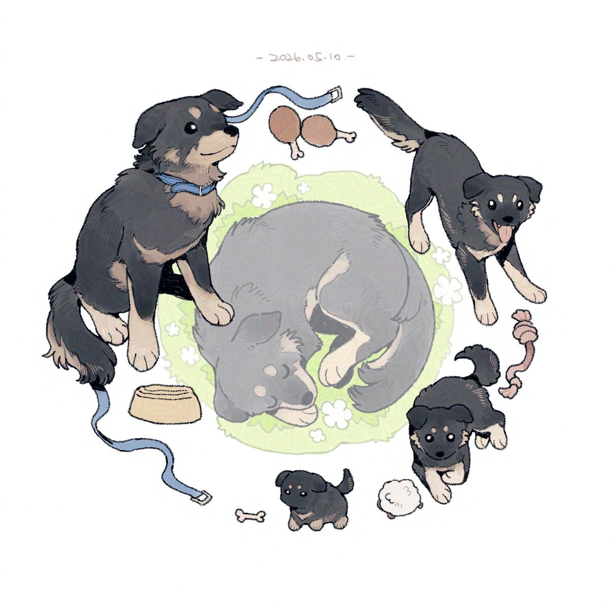 水泥小猫 tweet media