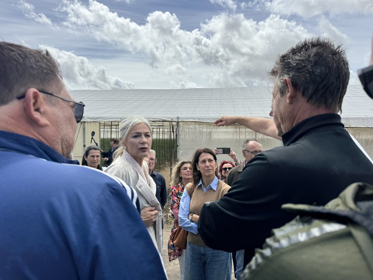 PPdeSevilla's tweet photo. El Gobierno de @JuanMa_Moreno está al lado de nuestros agricultores de la flor cortada.

Compromiso, escucha y trabajo conjunto con un sector clave para Lebrija y el Bajo Guadalquivir.

Orgullosos de un sector que genera empleo, riqueza y oportunidades en nuestra tierra.

#ConLaFuerzaDeAndalucía 
#JuanmaPresidente