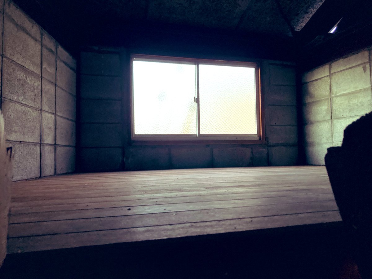 サニー tweet media
