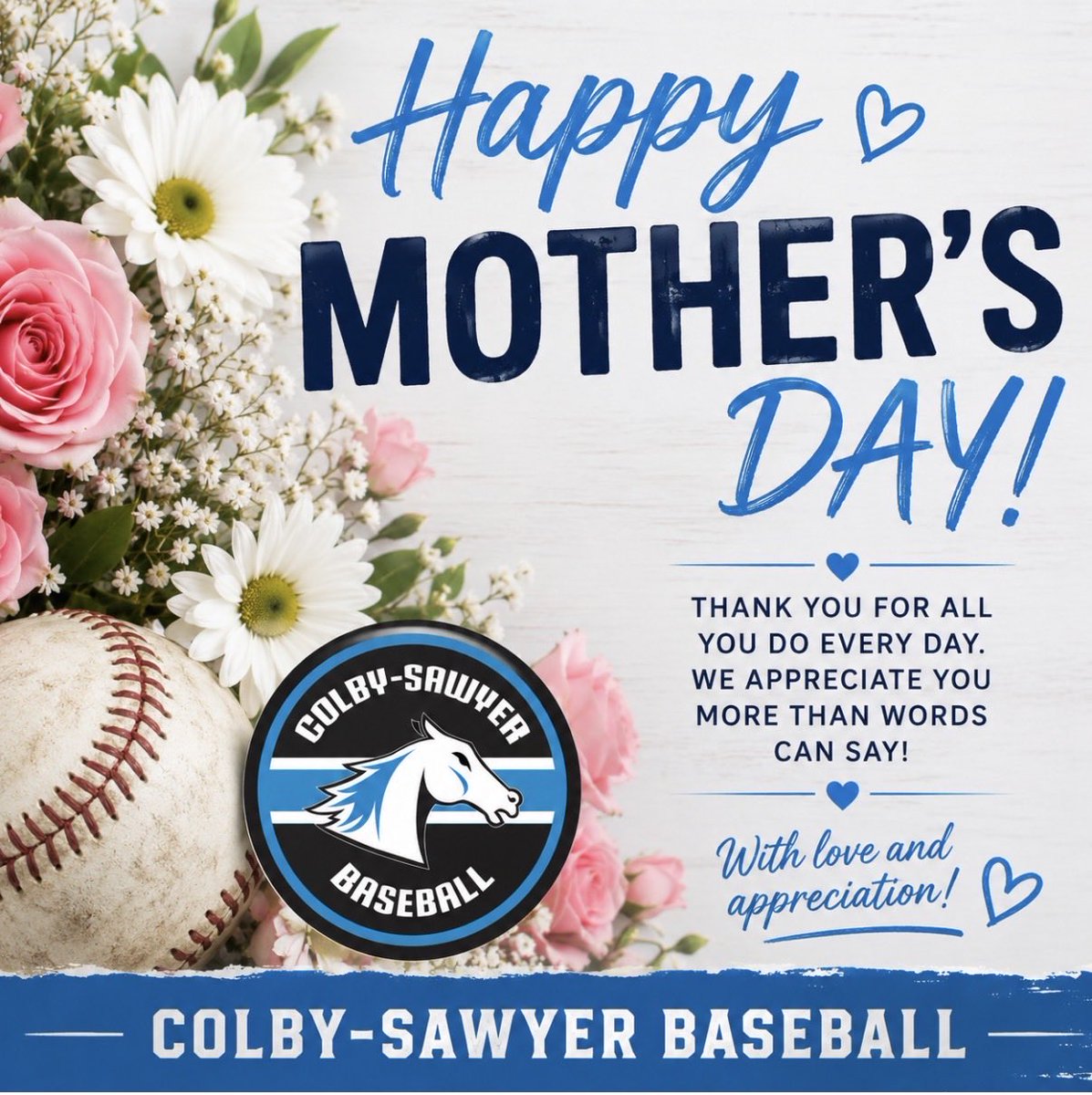 Colby-Sawyer Baseball tweet media