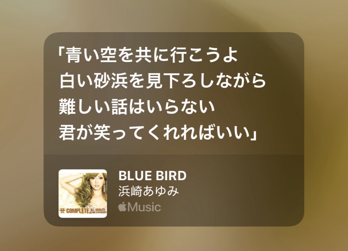 あんり🐹𐙚 tweet media