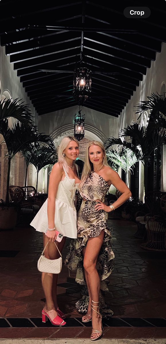 annikadevils tweet media