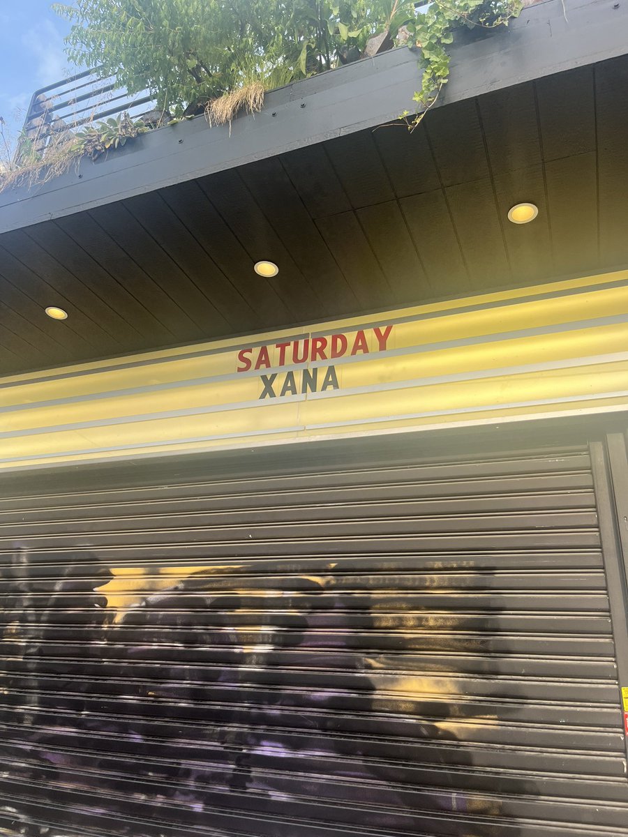 Dylan tweet media