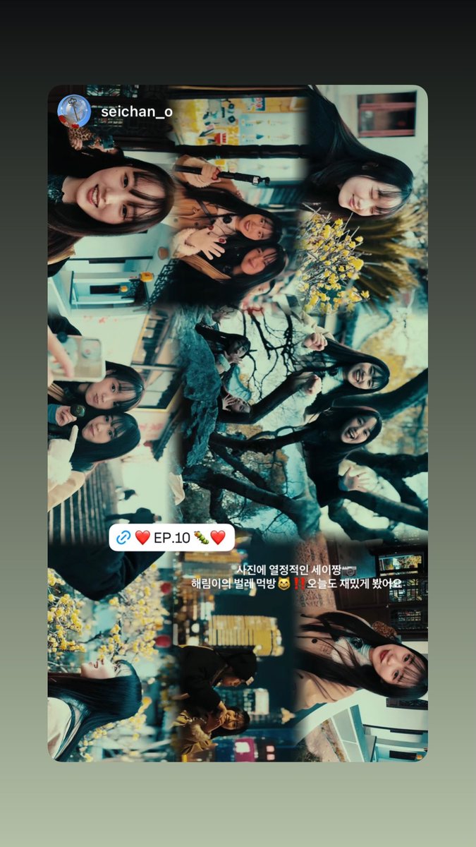 ๐ฆ ๐๐๐ ๐ ๐๐๐ ๐ ๐๐๐๐๐๐ tweet media