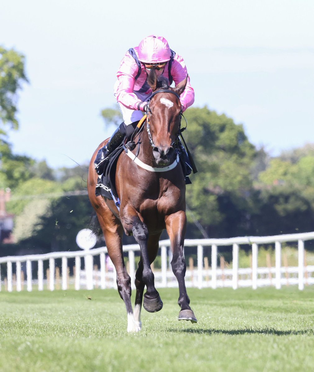 Leopardstown RC tweet media