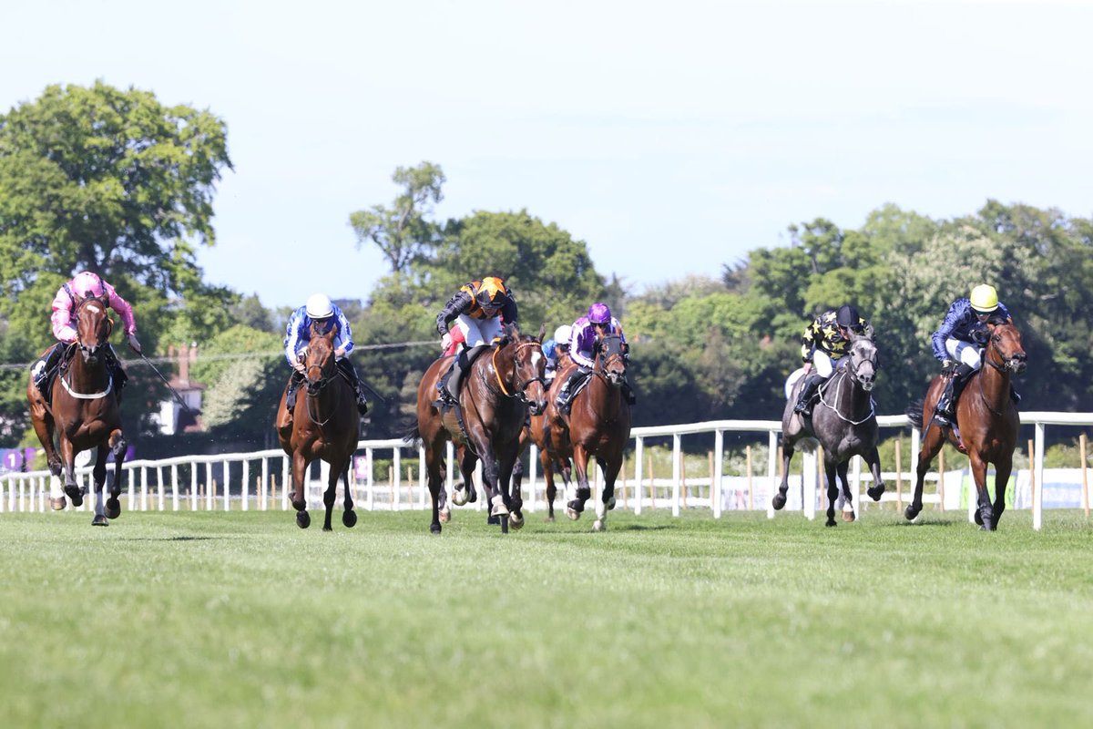 Leopardstown RC tweet media