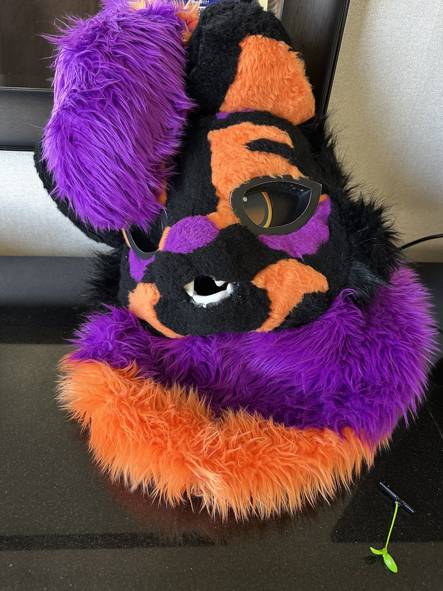 PupWinston/HocusCat🔜FWA tweet media