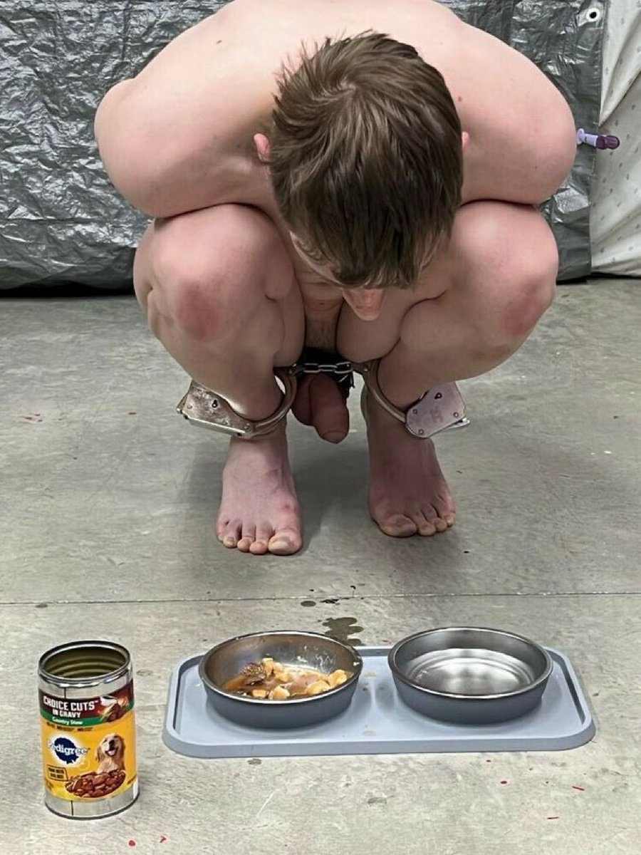servant1's tweet photo. The life I want. Who is willing to treat me like this? I am willing to wear a chastitycage and a chockcollar. 🐷
#humandog #slavelife #humiliation https://t.co/psGUW7Yq4U