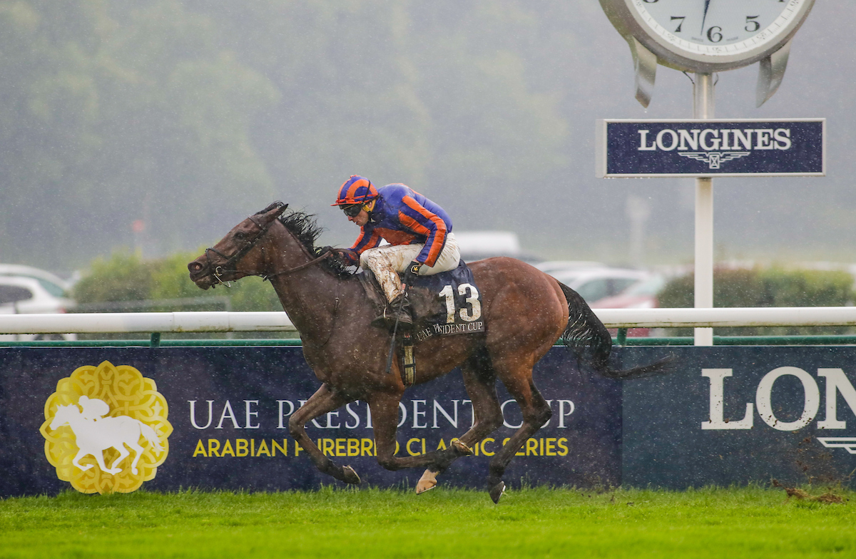 Racing TV tweet media