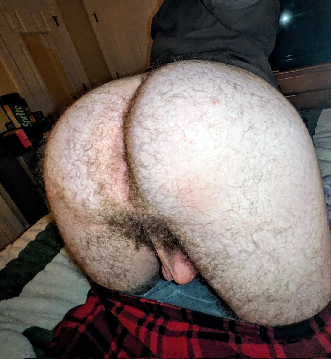 Doughy 🍞 tweet media