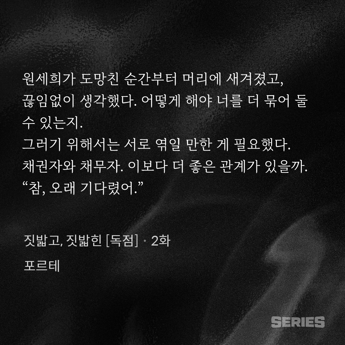 포르테 tweet media