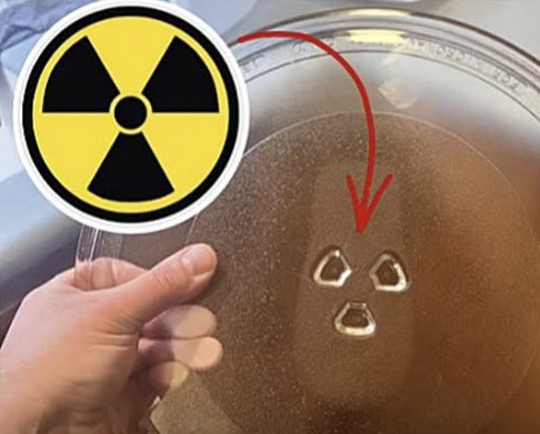 todayyearsold's tweet photo. The radiation symbol was on the microwave plate this whole time https://t.co/UsJwDfmWcU