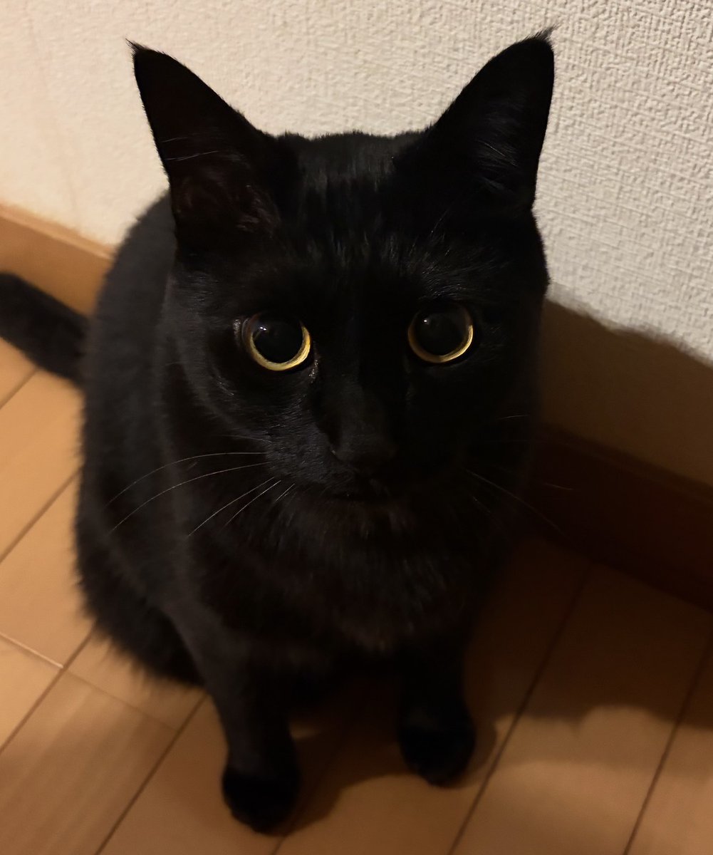 うに3才 tweet media