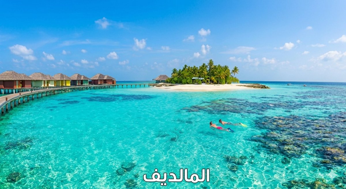 فلس tweet media