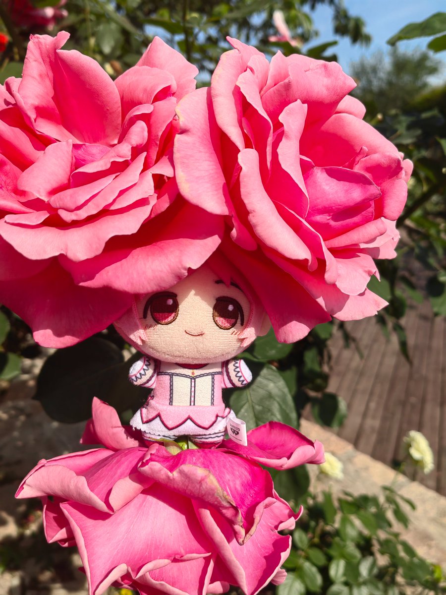 小木曽Setsuna (@Setsuna_1234567) / Posts / X