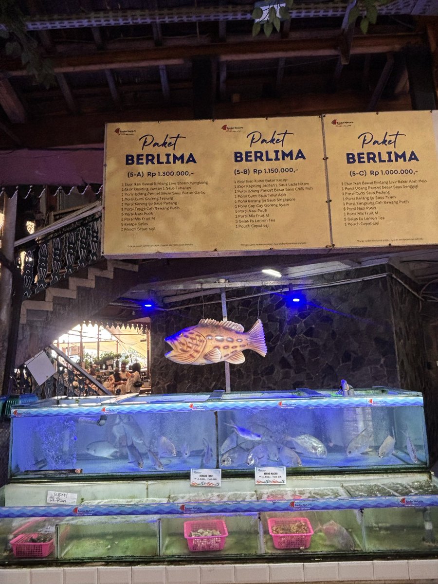 Seafood therapy hits different