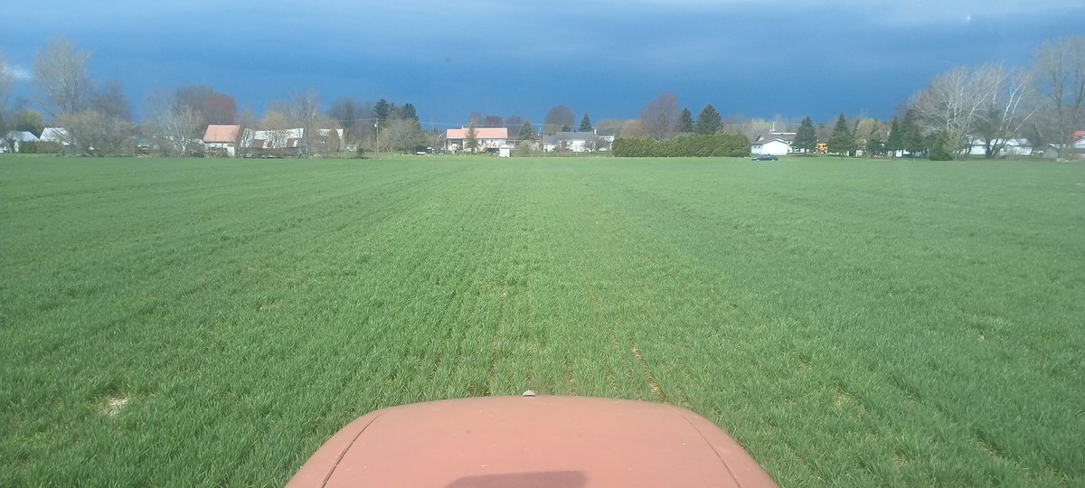 PaulCaplette's tweet photo. La ferme en images cette semaine 
#agriculture https://t.co/6J0fv2FKng