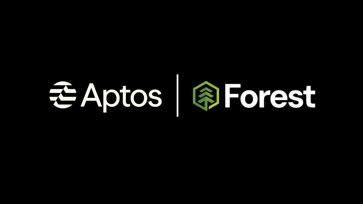 Forest tweet media