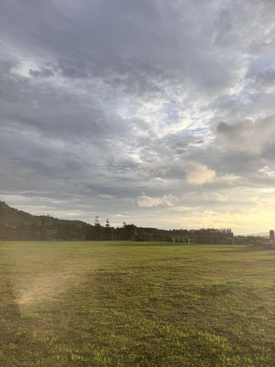 Sunshine on monday tweet media