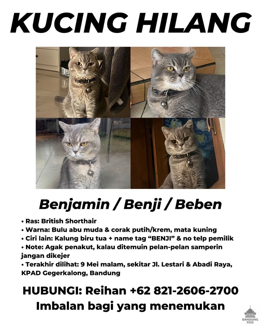 BANDUNG FESS | Kirim menfess cek 📌 tweet media