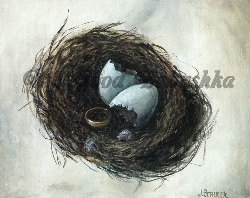 JulieKSchuler's tweet photo. Bird's Nest and Gold Ring
art print

https://t.co/JlAfaBkc3H

#painting #artprint #bird #nest #eggshell #feather #ring #stilllifepainting https://t.co/zlASe6c283
