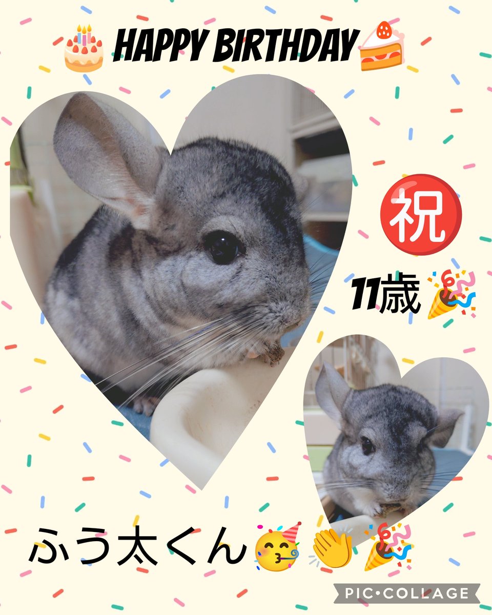 らぶP tweet media