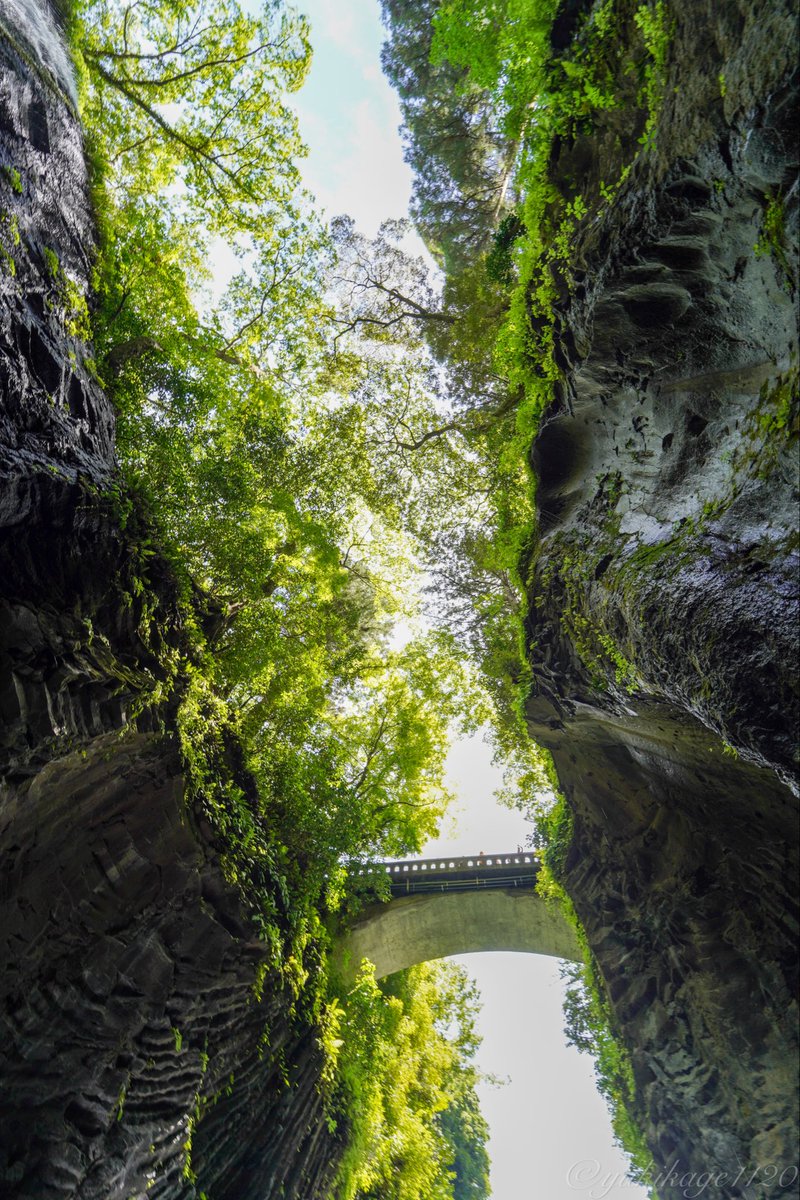 IceHeartYUKKIs's tweet photo. 自然の力を感じてきました
SONY α7C
SAMYANG AF 14mm F2.8 FE

#高千穂峡 #高千穂  #宮崎 #写真で奏でる私の世界 #ファインダー越しの私の世界 https://t.co/pYP8ds3Uei