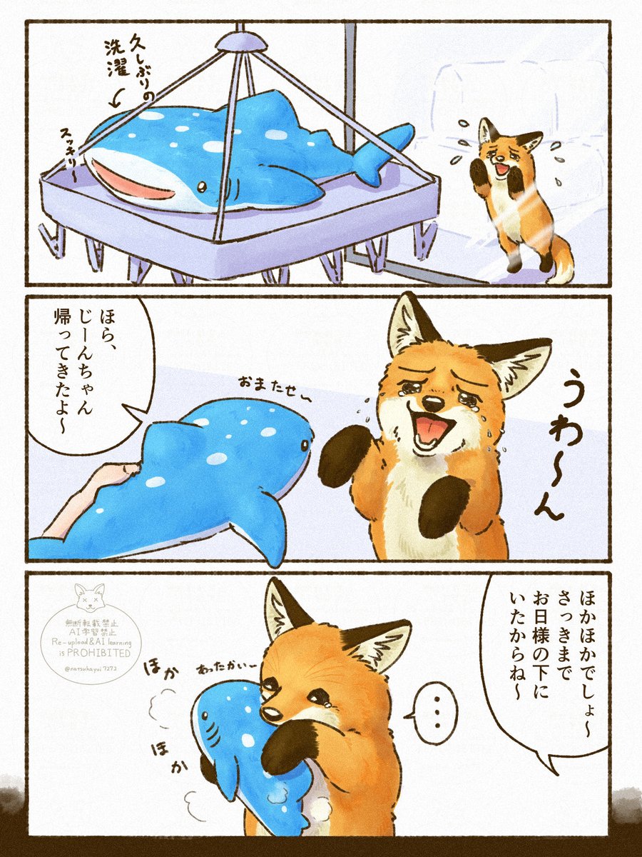 夏朱 優衣/ 書籍「きつねと一緒に暮らしたら」5月18日発売🦊 tweet media
