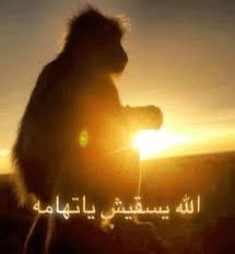شداد بن قضعان tweet media