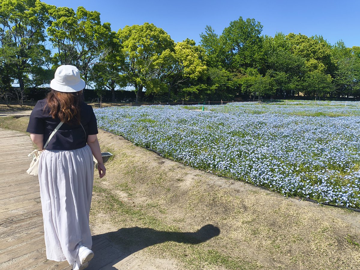 DANCE_KOTA's tweet photo. トイトイトイ！ https://t.co/lWqikBjIjI