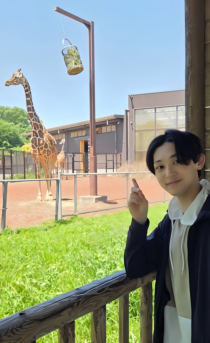 阿部カノン/Canon Abe tweet media