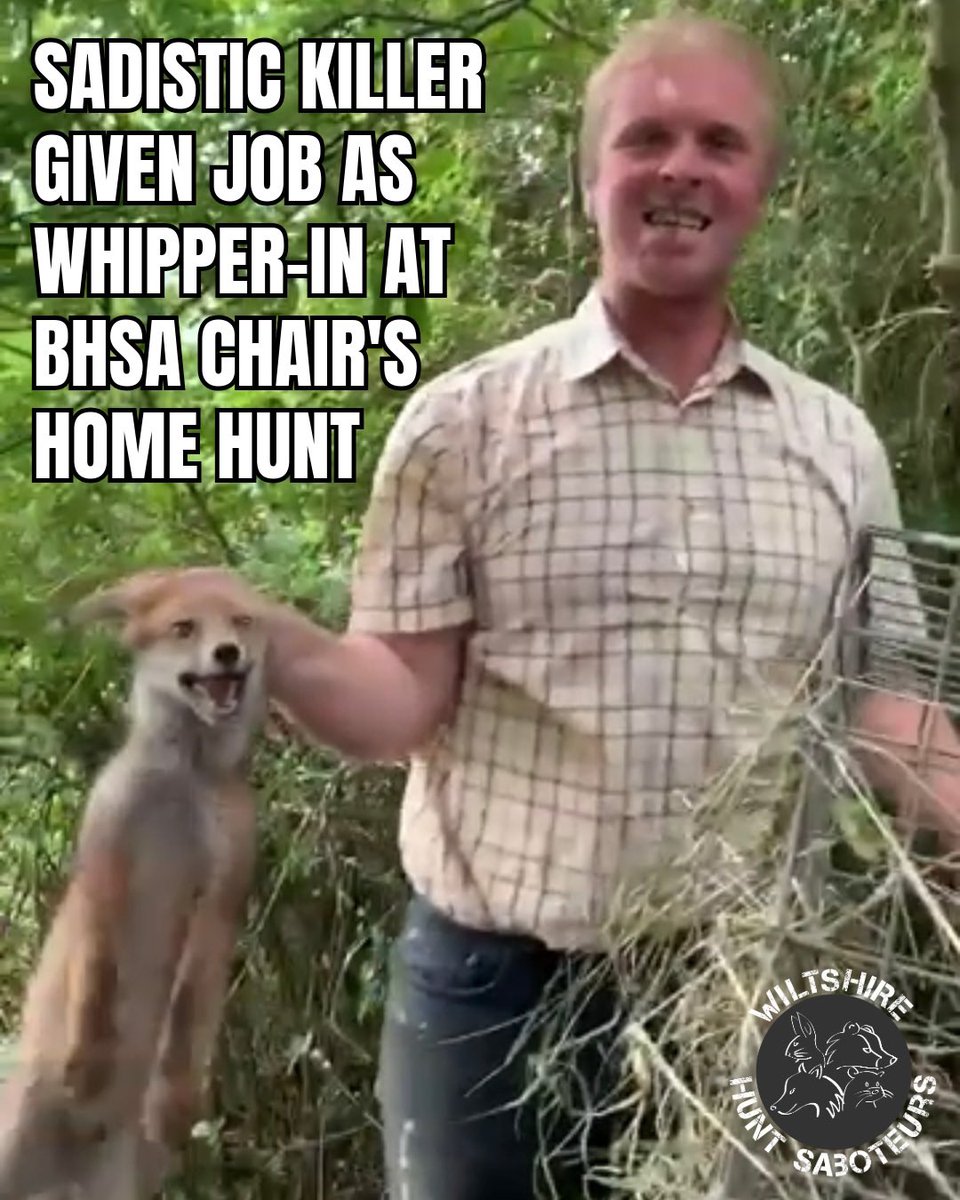Wiltshire Hunt Saboteurs tweet media