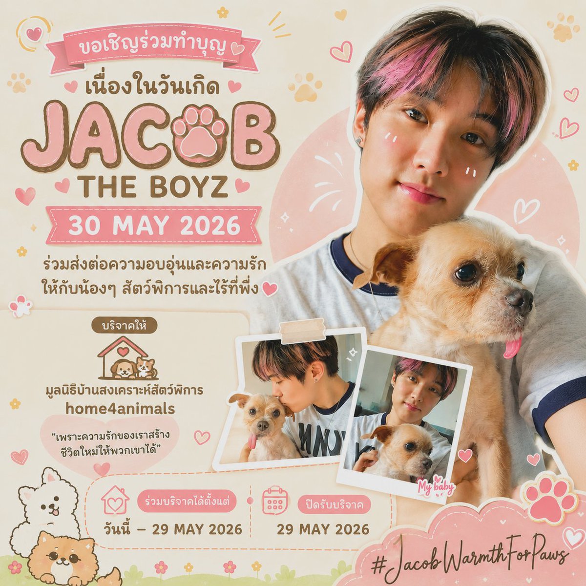 ☁️🫎🐰🐶☁️ tweet media