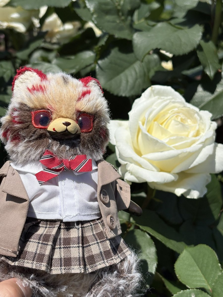 柿ポシェットを下げたたぬきさん 座長の制服に合わせた、相棒のタヌキさん 我ながら可愛い♡⁠(⁠Ӧ⁠v⁠Ӧ