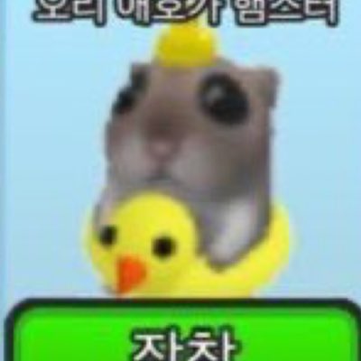 먀둥 tweet media
