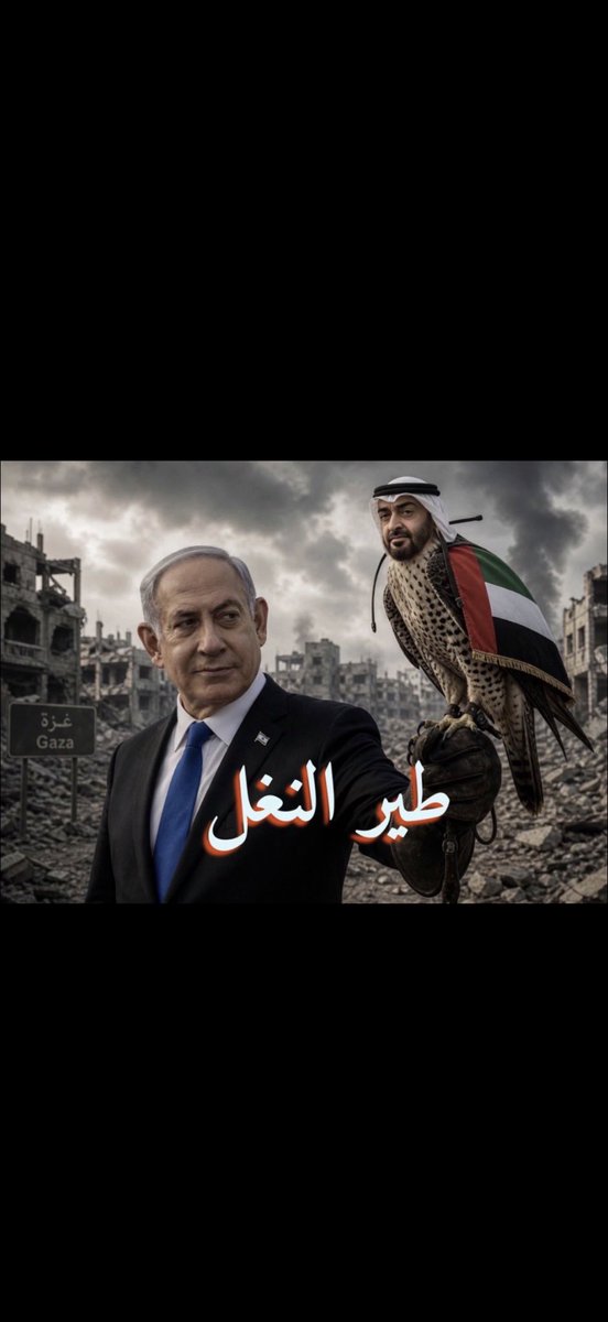 جلاد المجوس والروافض واذنابهم الاخونجية والقومجية tweet media