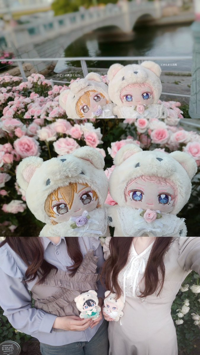 M__tk02's tweet photo. 𝓡𝓸𝓼𝓮 𝓖𝓪𝓻𝓭𝓮𝓷⊹ ˚. ♡ https://t.co/1orYbgZNbM