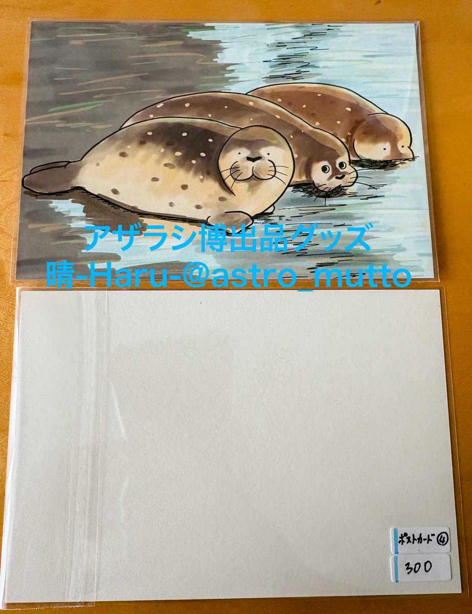 ポストカード4種類 各種 300円 4枚セット 1,100円 #愛アザラシ博26