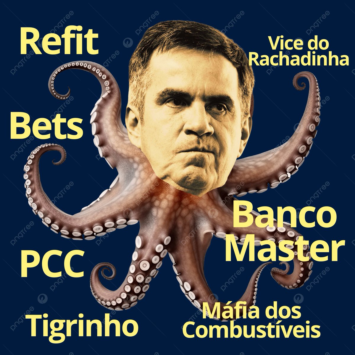 Bacurau é aqui! tweet media