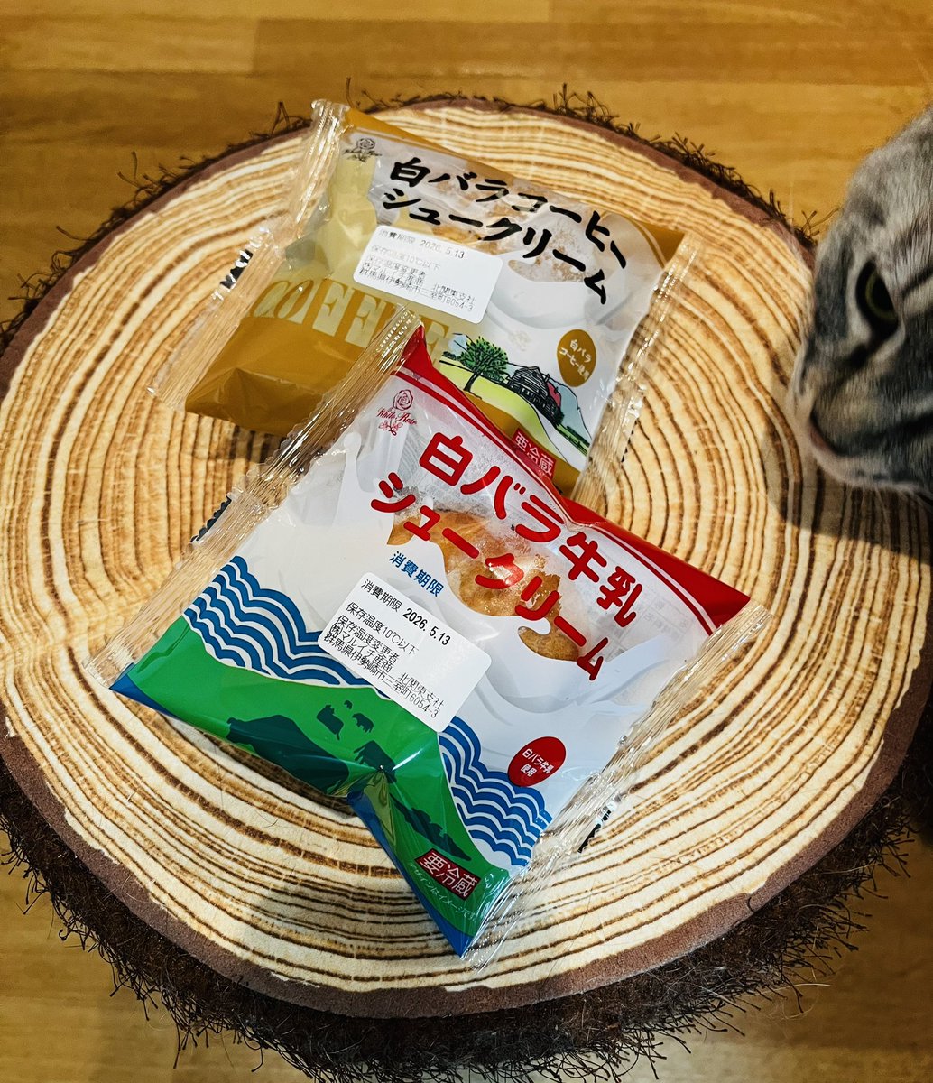 猫屋敷 (@harapeko234) / Posts / X
