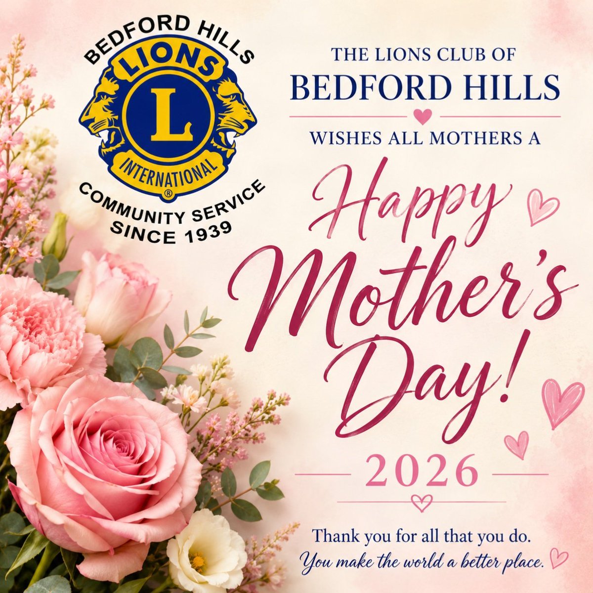 BedfordHillsLions tweet media