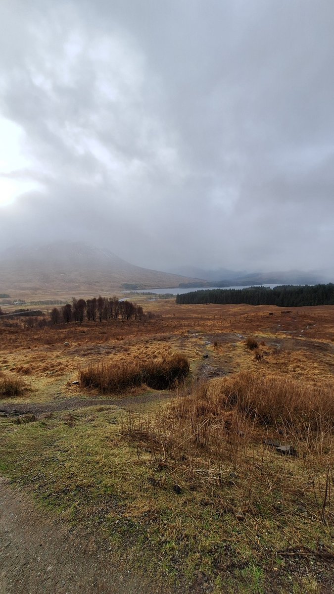 JuliaImagine's tweet photo. Il y a 3 mois je suis partie faire un roadtrip en Ecosse. Depuis j'ai l'impression qu'une part de moi est à tout jamais restée là-bas 🥹
Quel pays magnifique ✨️ https://t.co/UPvON0UL3f