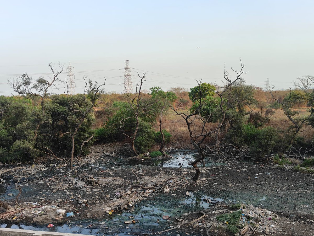 VVM400083's tweet photo. इमारत क्रमांक 164 कन्नमवार नगर आणि कलावती आई मंदिर मागील गाळ कधी साफ होणार @mybmc @mybmcWardS @AshwiniBhide @mybmcSWM @SunilRaut65 @FMEnvng @iGaneshNaik https://t.co/8cZvSV0QbH