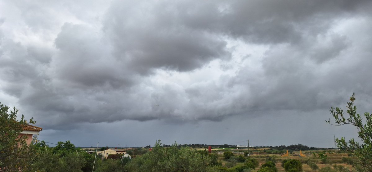 Creo que viene un buen chubasco! <a href="/MeteoAlmonte/">MeteoAlmonte</a> <a href="/Meteohuelva/">MeteoHuelva.es</a>