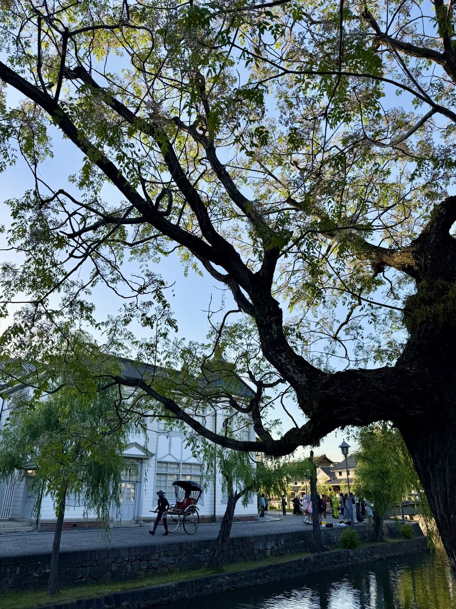 cos_log's tweet photo. 本日はCOS-LOG倉敷市芸文館/美観地区/アイビースクエアに多くのお客様にお越しいただき、誠にありがとうございます😊

次回は6/7(日)コスフェスinイオンモール岡山です！皆様のお越しをお待ちしております！

#コスログ
#コスフェス岡山
 
https://t.co/IniSrjyaAk https://t.co/606GQR1LNN