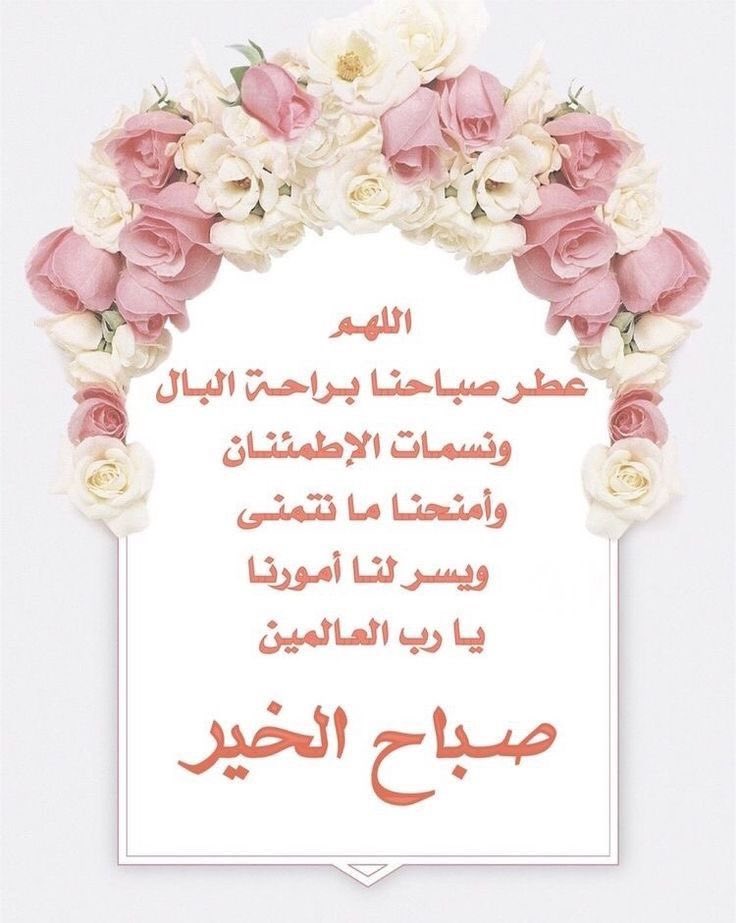 د.مريم المري_ Dr.Maryam Al Marri tweet media