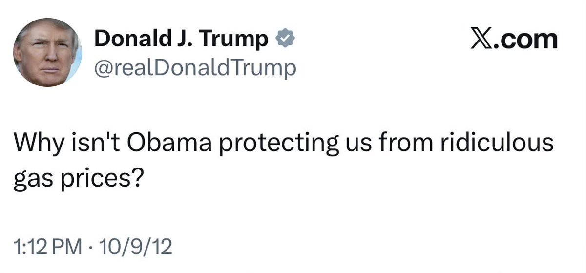 Molly Ploofkins tweet media