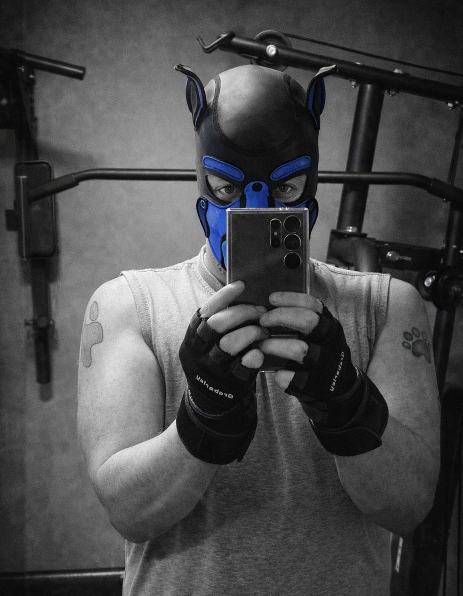 Woof The TOP Hung Alpha Pup 🔞 tweet media