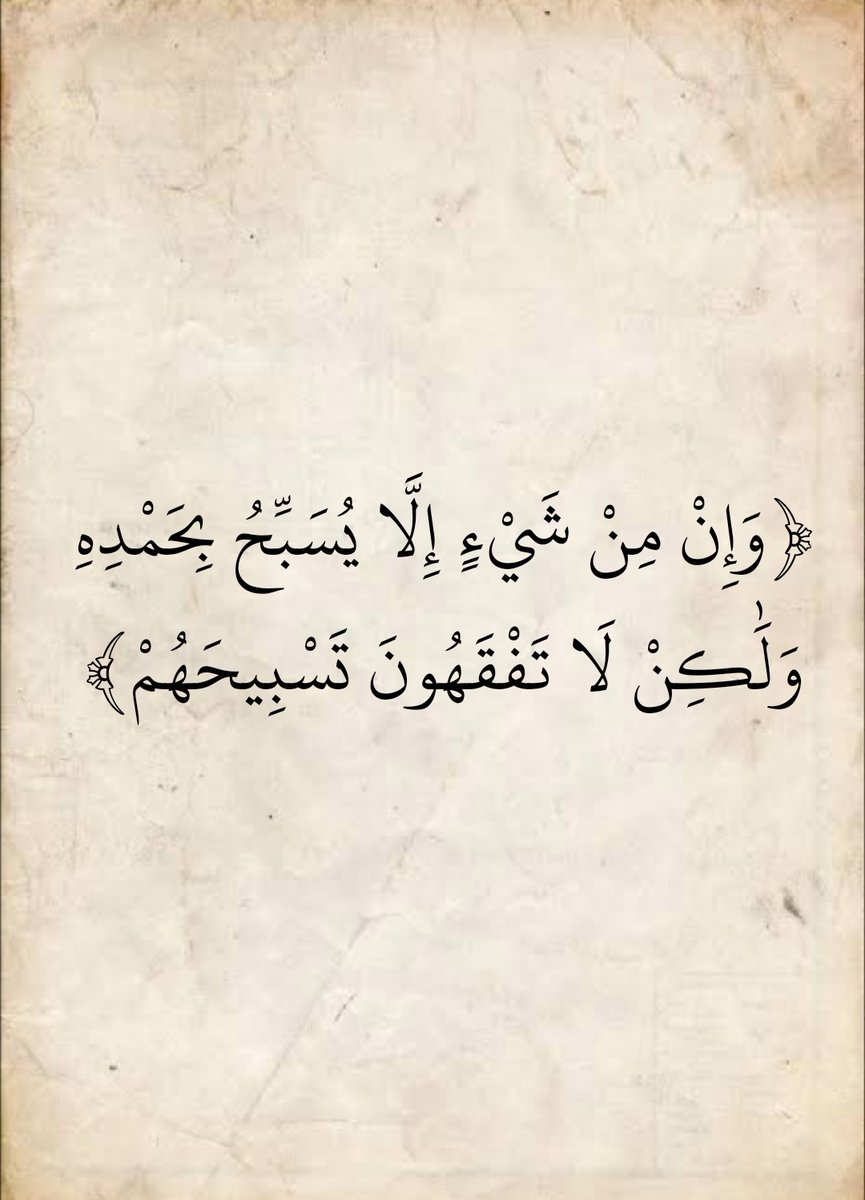 المُصْحَف tweet media